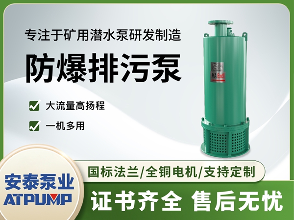 防爆排污泵